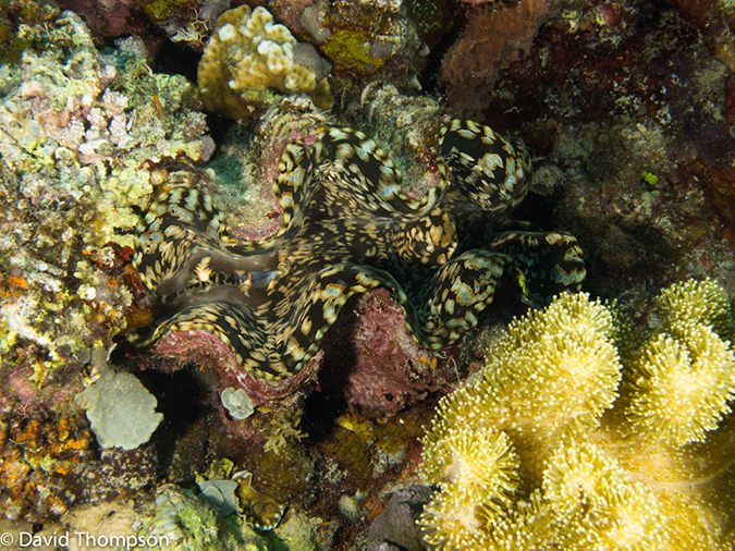 %_tempFileName2013_02_26-2-Batu-Tiga-41%