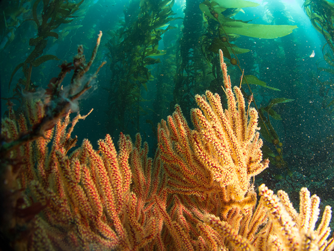 %_tempFileName2012-09-14_2_Santa_Barbara_Island_Cat_Canyon-35%