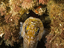 %_tempFileName2013-09-14_1_Anacapa_Island_Landing_Cove_Peace_Boat-21%