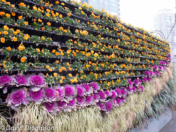 %_tempFileName2013_02-17_Shanghai-1%