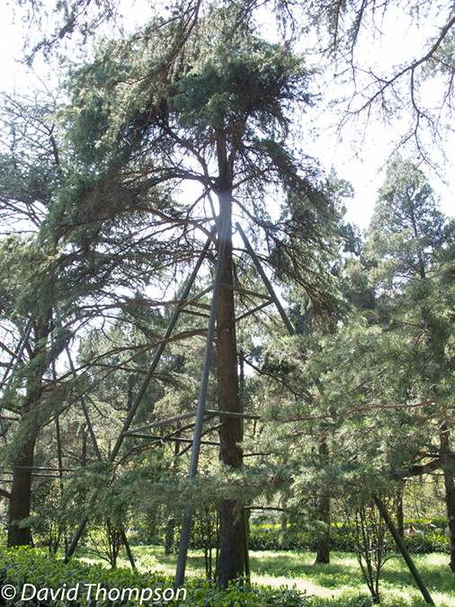 %_tempFileName2013_04_02_Dr-Sun-Yat-Sen-Mausoleum-Nanjing-10%