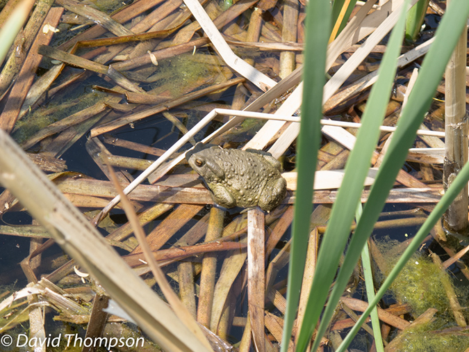%_tempFileName2013_04_02_Nanjing-11%