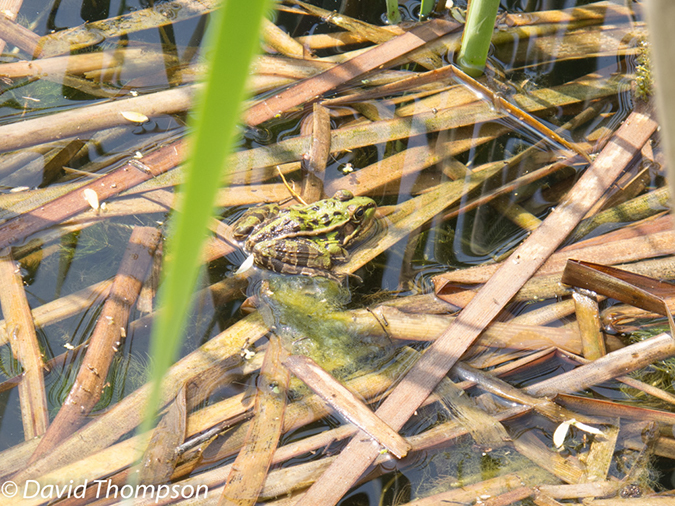 %_tempFileName2013_04_02_Nanjing-12%