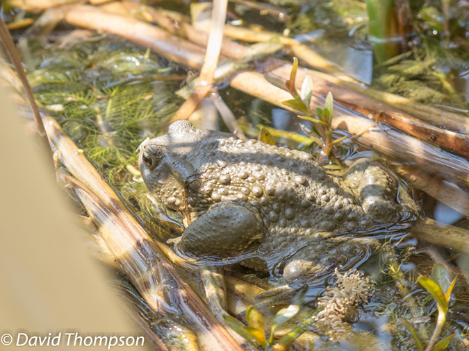 %_tempFileName2013_04_02_Nanjing-14%