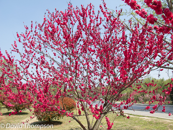 %_tempFileName2013_04_02_Nanjing-16%