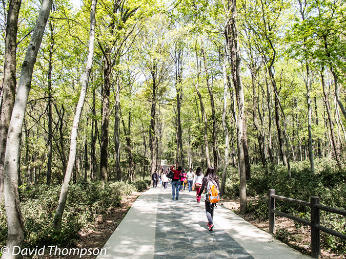 %_tempFileName2013_04_02_Nanjing-18%