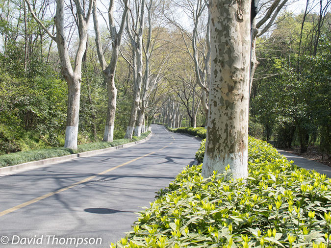 %_tempFileName2013_04_02_Nanjing-39%