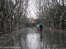 %_tempFileName2013_02-18_Xiangyang_Park-1%