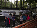 %_tempFileName2013_02-18_Yuyuan_Garden-Market-3%