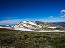 %_tempFileName2014-06-27_01_RMNP_Snowdrift_Peak-33%