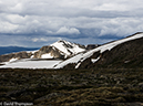 %_tempFileName2014-06-27_01_RMNP_Snowdrift_Peak-42%
