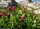 %_tempFileName2014-08-09_01_RMNP_Bluebird_Lake-8091389%