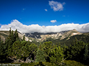 %_tempFileName2014-08-15_01_Indian_Peaks_Wilderness_Niwot_Ridge-8151422%