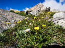 %_tempFileName2014-08-15_01_Indian_Peaks_Wilderness_Niwot_Ridge-8151436%
