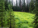 %_tempFileName2014-08-19_01_RMNP_Timber_Lake-8201569%