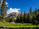 %_tempFileName2014-08-24_01_RMNP_CHiefs_Head-8241637%