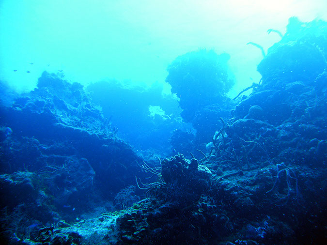 PICT0001