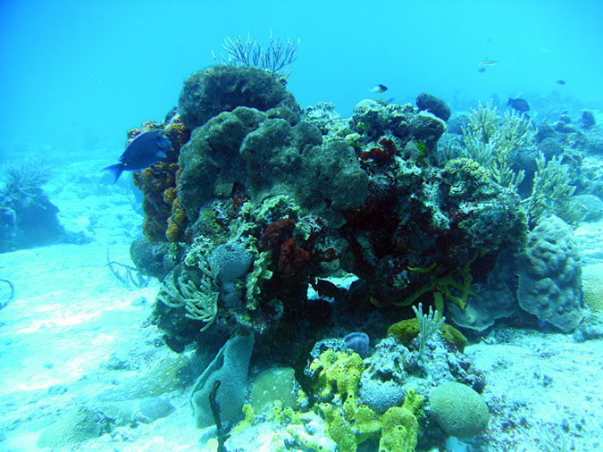 PICT0701