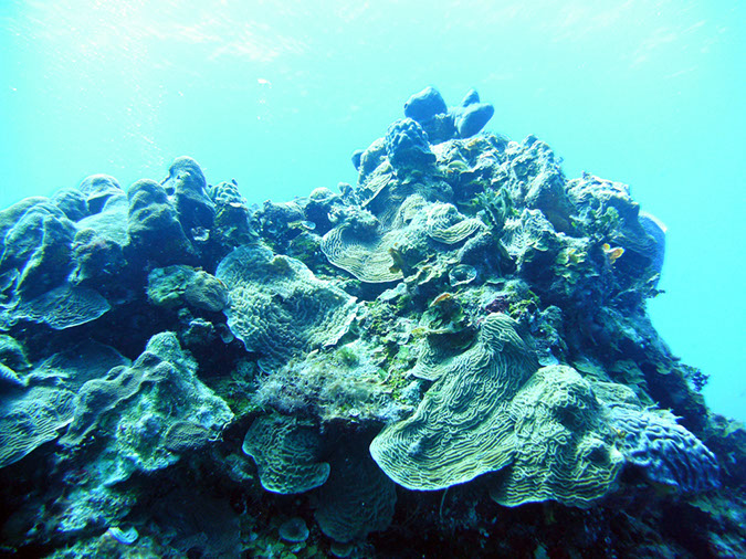 PICT0724