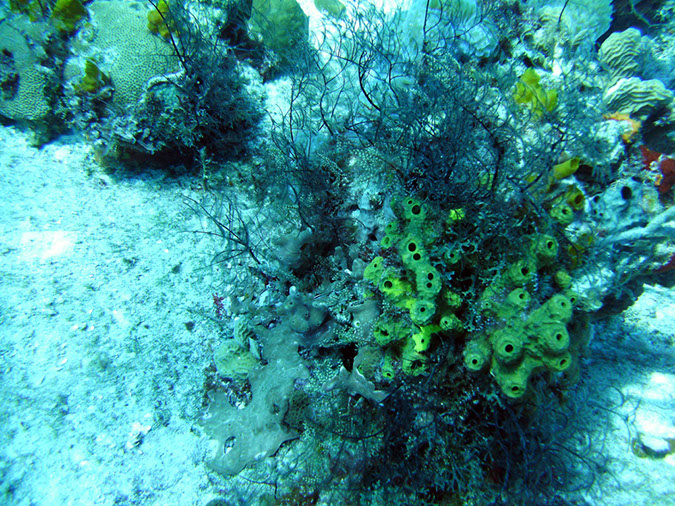 PICT0744