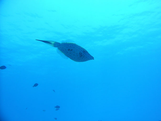 PICT0754