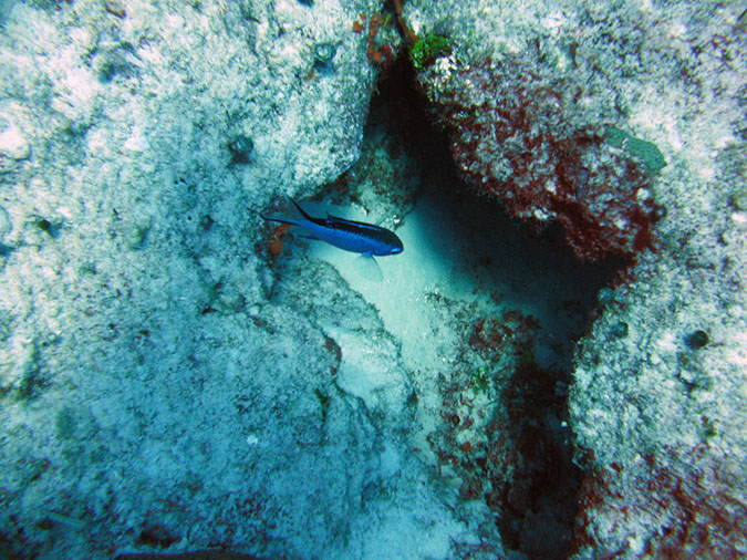 PICT0764