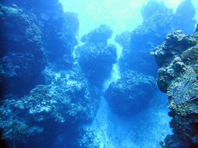 PICT0814