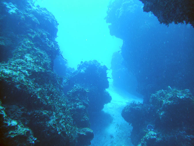 PICT0815