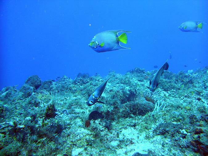 PICT0834