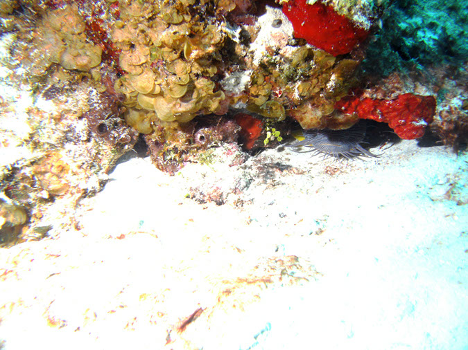 PICT0845