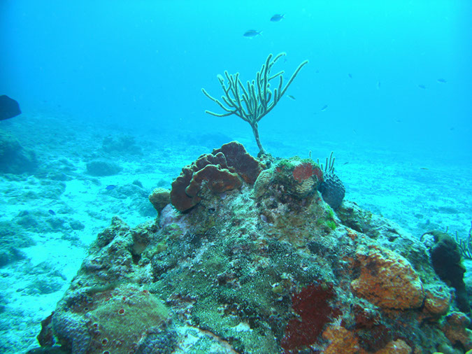 PICT0850