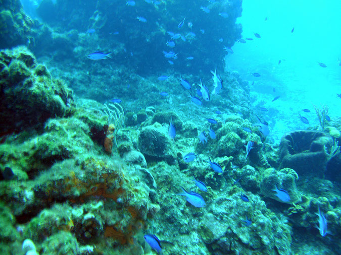 PICT0860