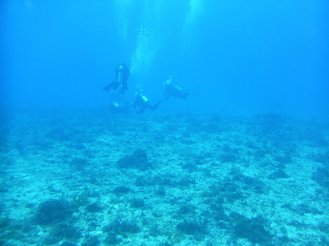 PICT0889