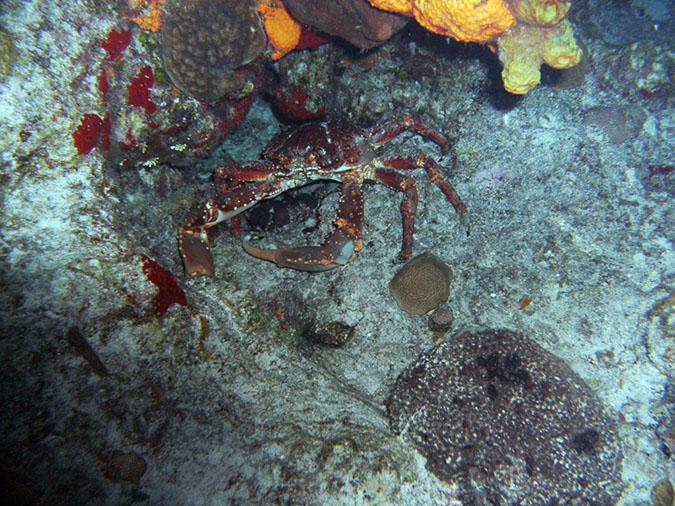 PICT0923