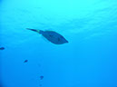 PICT0754