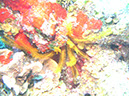 PICT0859