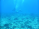 PICT0889