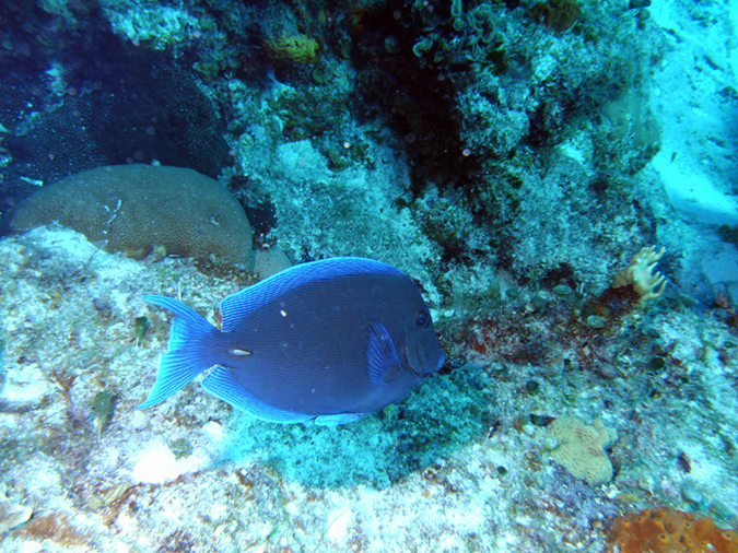 PICT0540