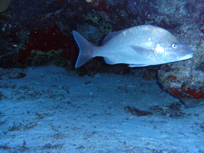 PICT0555 a