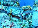 PICT0552 a