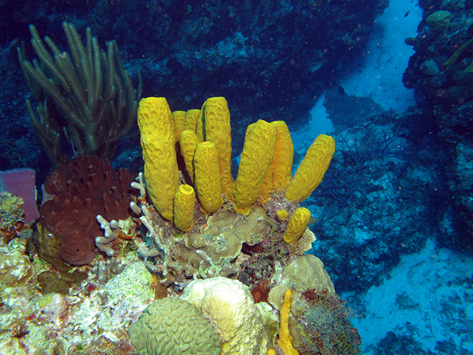 2011-12-05 Palancar Caves (10)