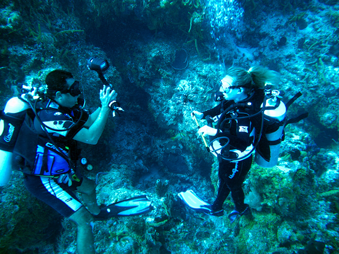 2011-12-06 Punta Sur Reef - Catherdal (2)