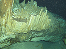 2011-12-08 Cenote Chac-Mool (5)