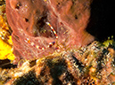 2011-12-04 Tormentos Reef (2)