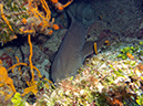 2011-12-05 Palancar Caves (11)