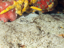 2011-12-07 Punta Tunish Wall (10)