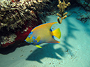 2011-12-04 Tormentos Reef (11)