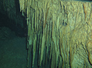 2011-12-08 Cenote Chac-Mool (2)