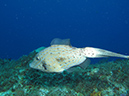 2011-12-07 Punta Tunish Wall (12)