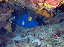 2011-12-04 Tormentos Reef (6)